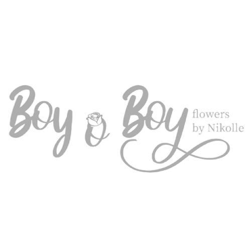 Boy O Boy